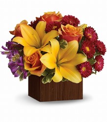 Full of Laughter Cottage Florist Lakeland Fl 33813 Premium Flowers lakeland